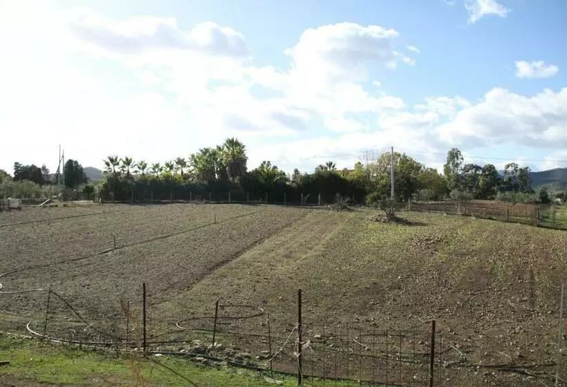 ホテル Agriturismo Su Pinnatu