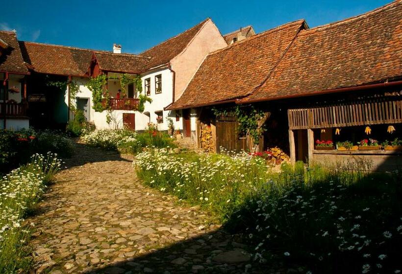 膳宿费 Casa Cu Zorele, Crit 189