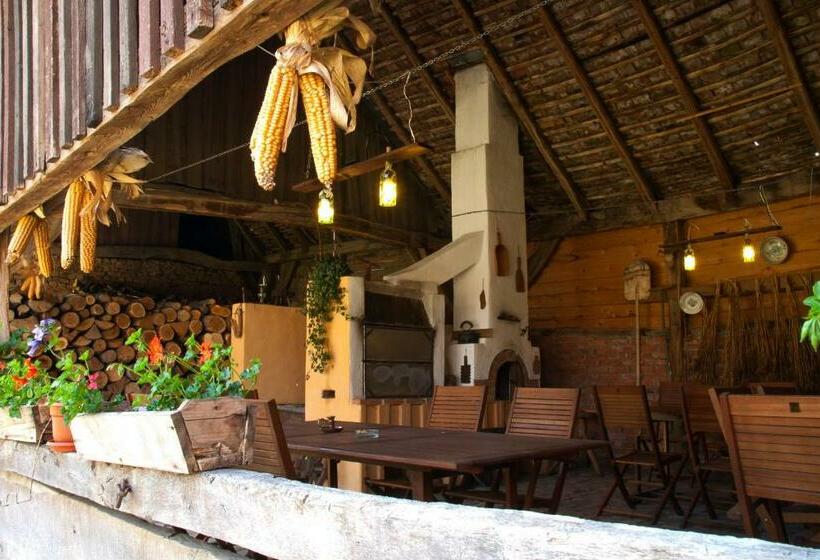 膳宿费 Casa Cu Zorele, Crit 189