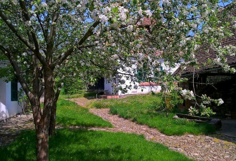 膳宿费 Casa Cu Zorele, Crit 189