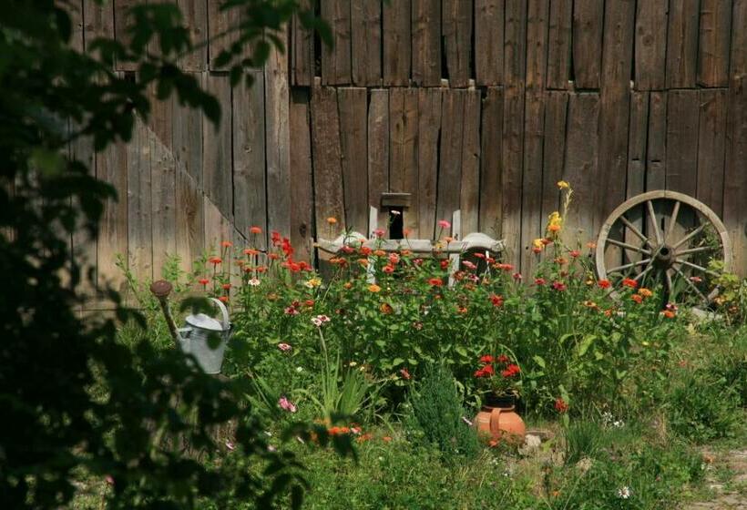 膳宿费 Casa Cu Zorele, Crit 189