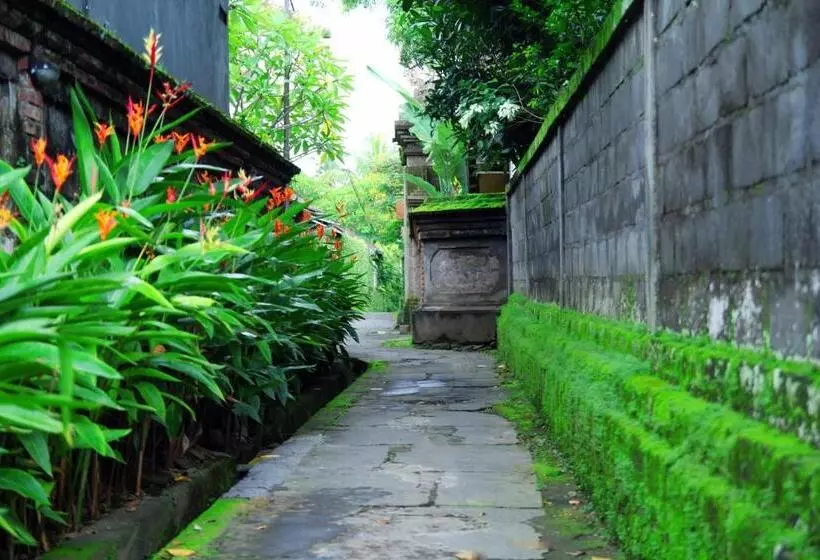 ペンション Sedana Jaya