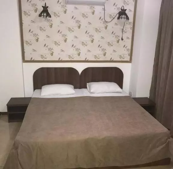 Pensiune Vila Denisa