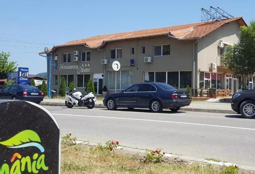 Pensiunea Oliver