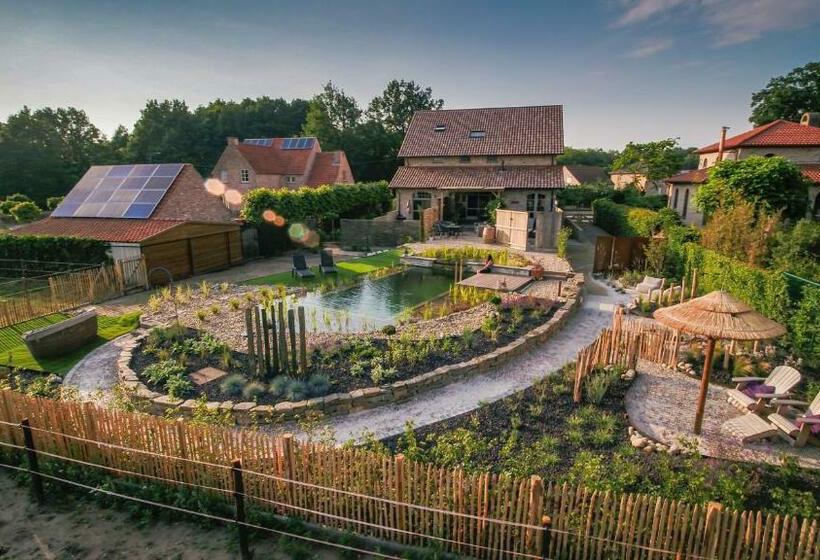 Relax B&b Lavendine Pure