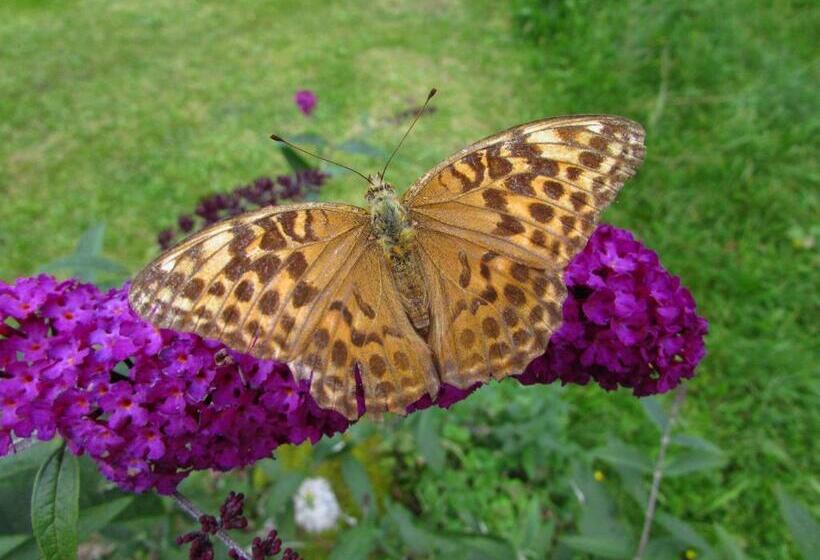 住宿加早餐 Le Pre Vert Garden Suite