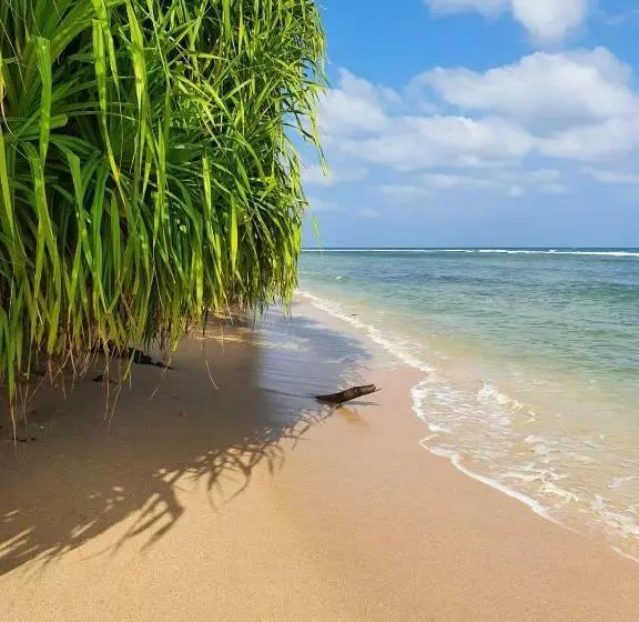 ホテル 108 Palms Beach Resort