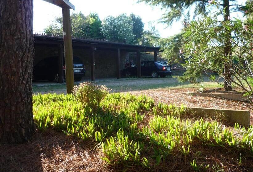 ホテル Agriturismo Pian Dell Osa