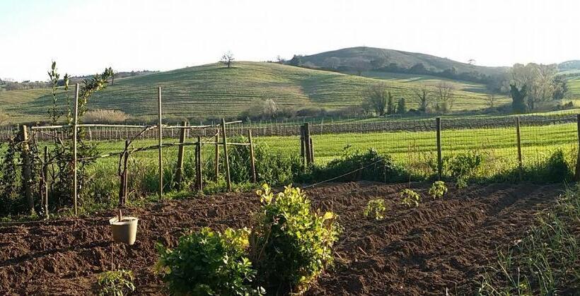 ホテル Agriturismo Pian Dell Osa