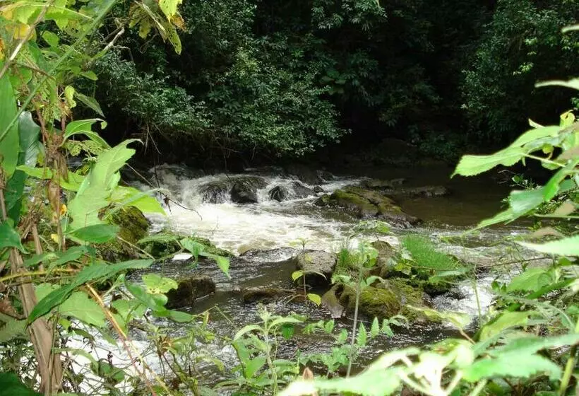 هتل Koi Koi, Fort Portal