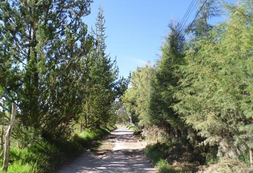 펜션 Los Jardines De Teresa