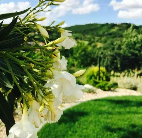 ペンション Vass Villa Vendégház
