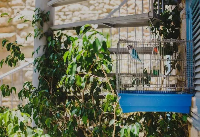 ホテル Alkisti City