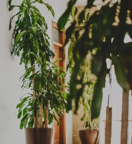 ホテル Alkisti City