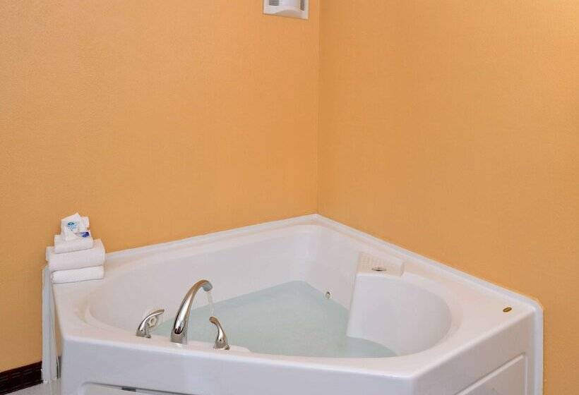 酒店 Americas Best Value Inn Geneva