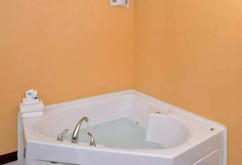 Hotel Americas Best Value Inn Geneva