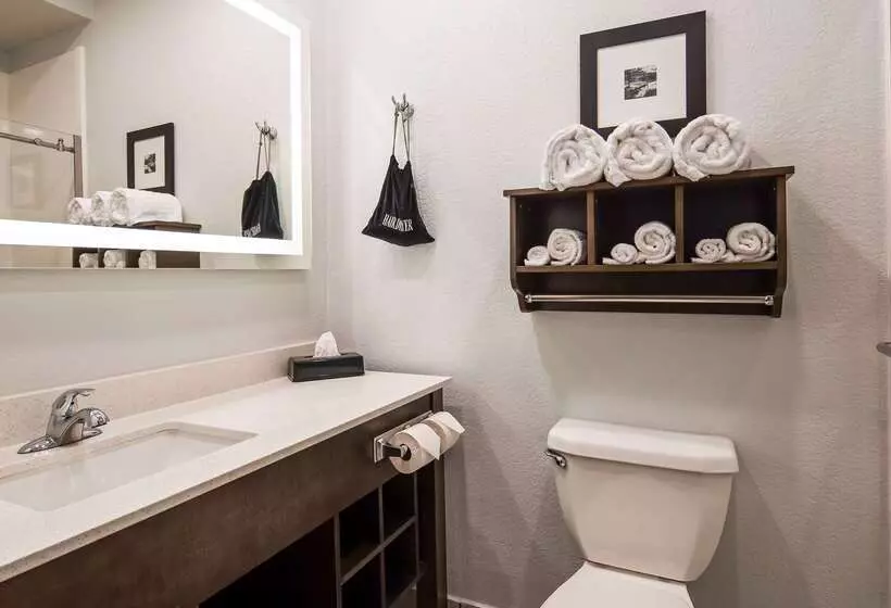 ホテル Best Western Atoka Inn & Suites