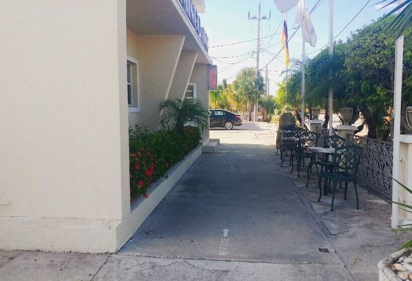 Отель Flamingo Inn