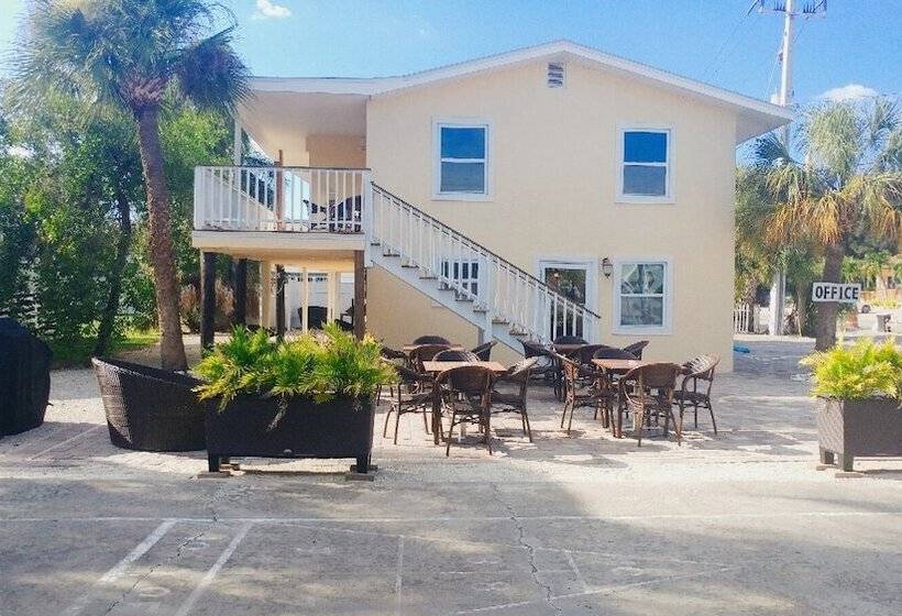 Отель Flamingo Inn