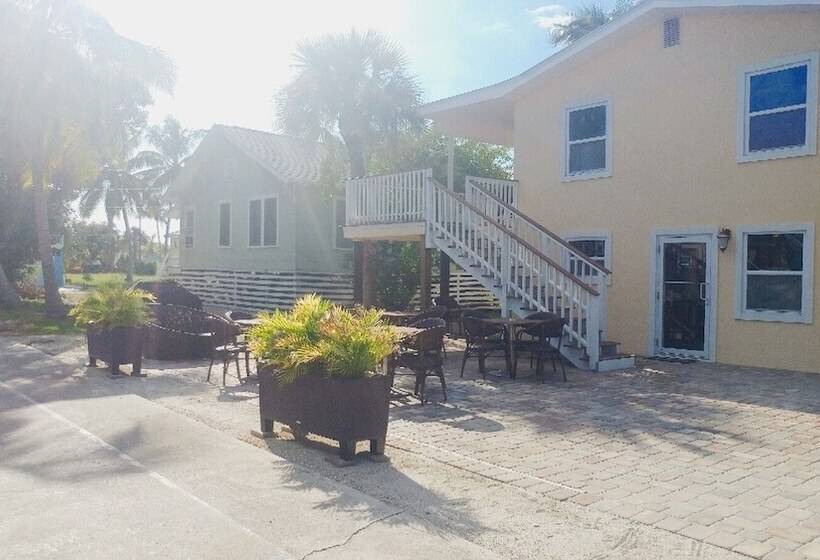 Отель Flamingo Inn