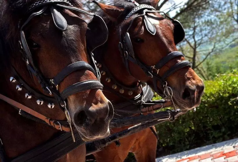 هتل La Cima Trasimena