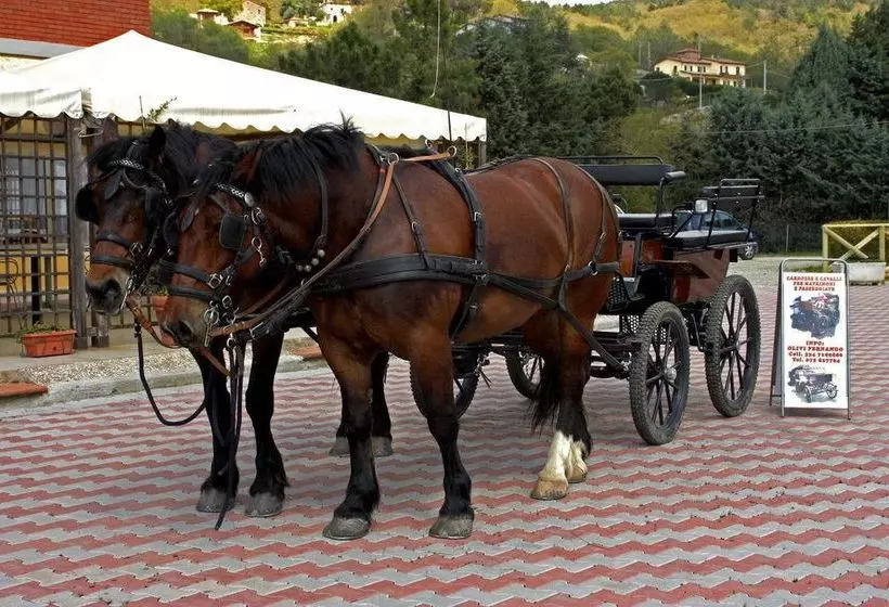 هتل La Cima Trasimena