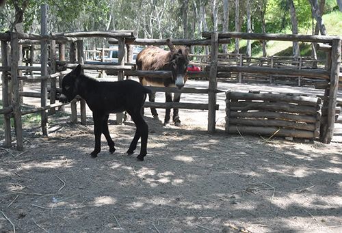 ホテル La Mia Valle