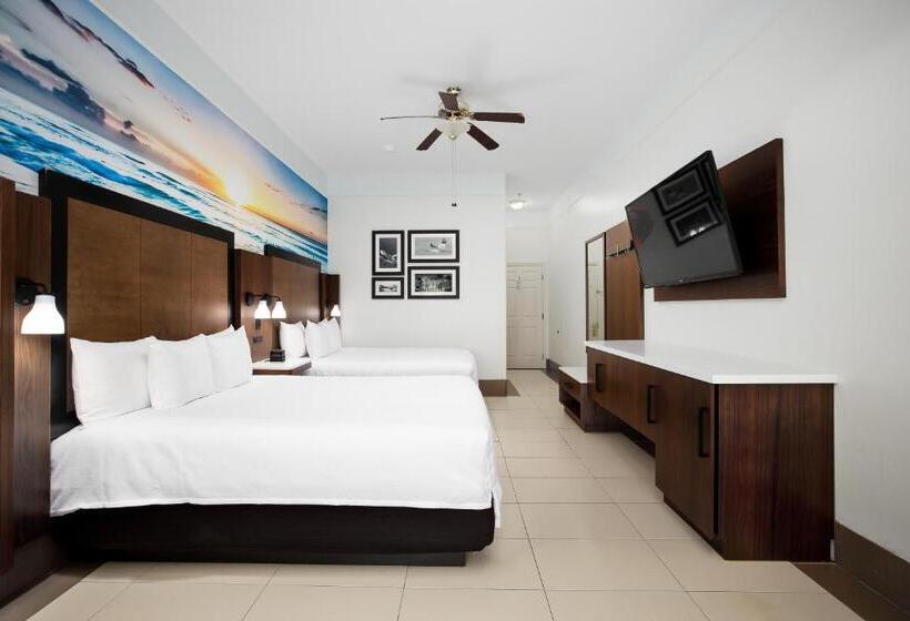 酒店 Sand Rose Beach Resort