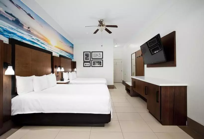 酒店 Sand Rose Beach Resort