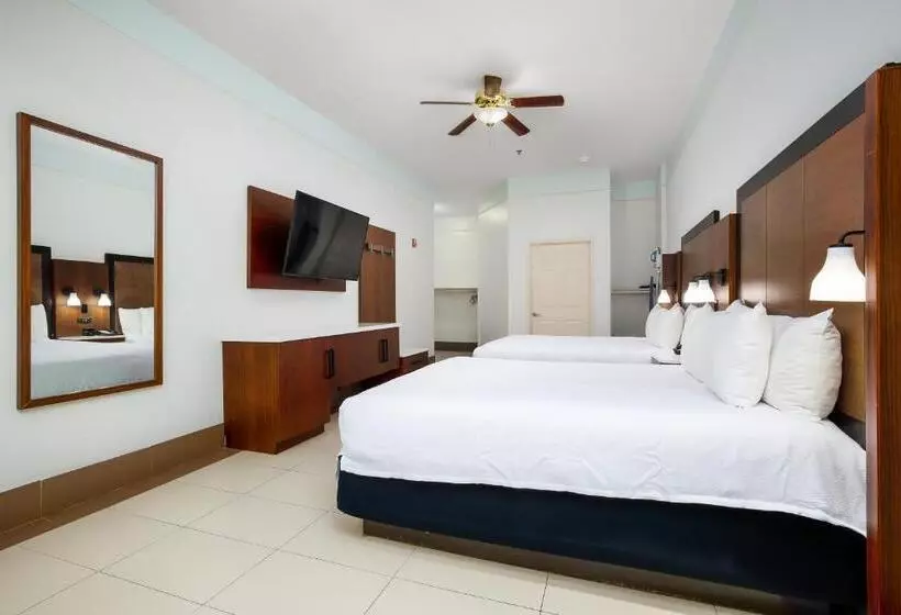 酒店 Sand Rose Beach Resort