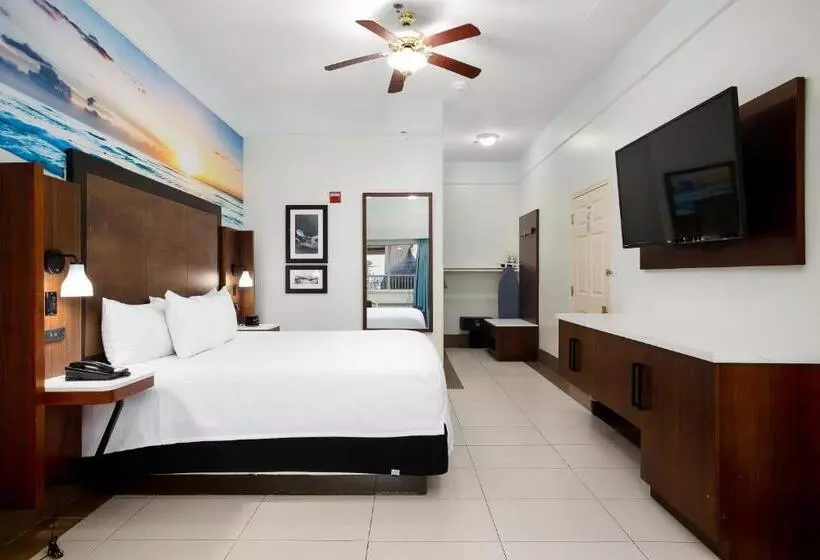 酒店 Sand Rose Beach Resort