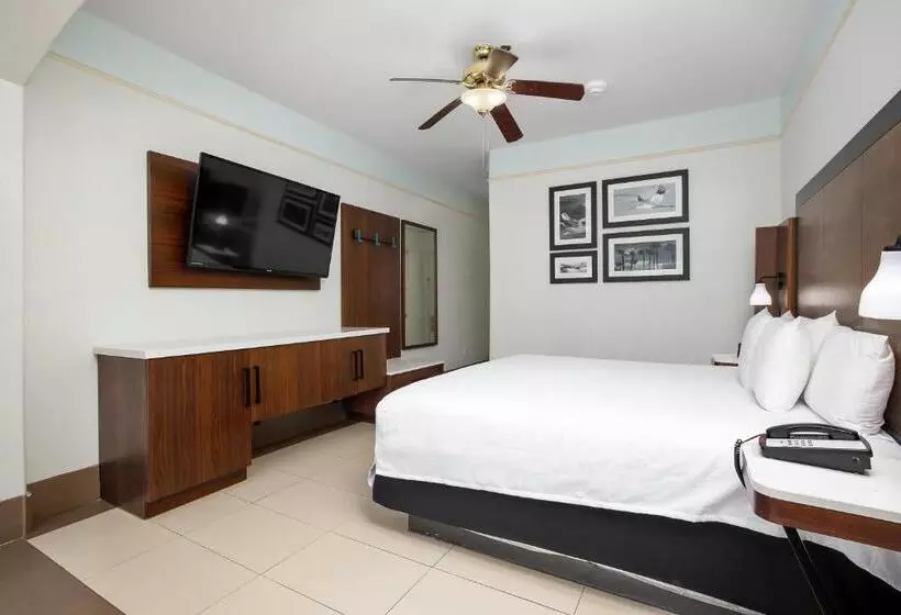 酒店 Sand Rose Beach Resort