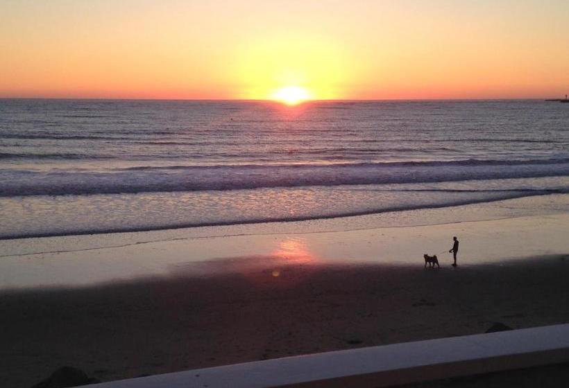 The Oceanfront Hotel On Miramarbeach Hmb