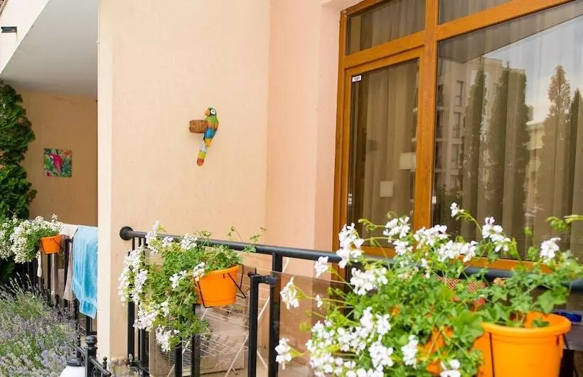 هتل Tsb Sunny Victory