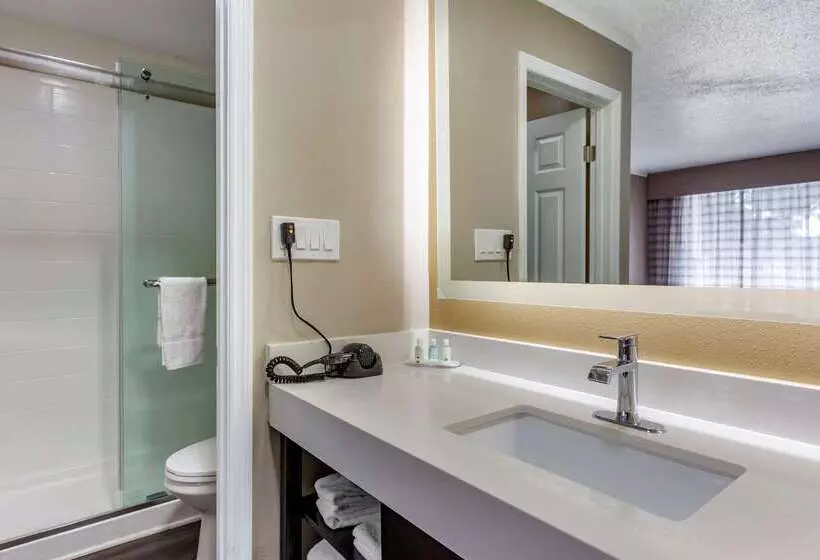 מוטל Quality Inn & Suites