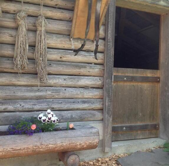 Общежитие Panorama Hotel Wagenkehr