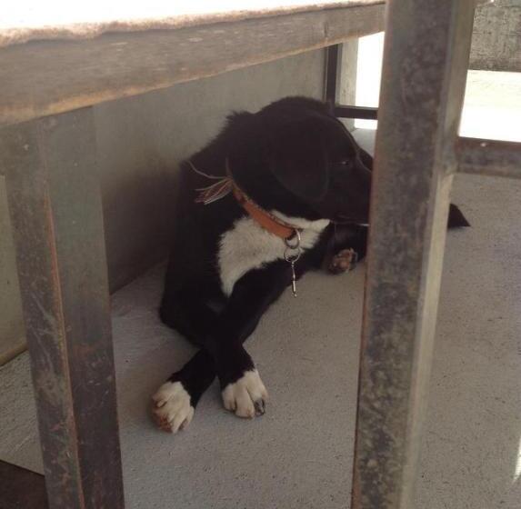 Общежитие Panorama Hotel Wagenkehr