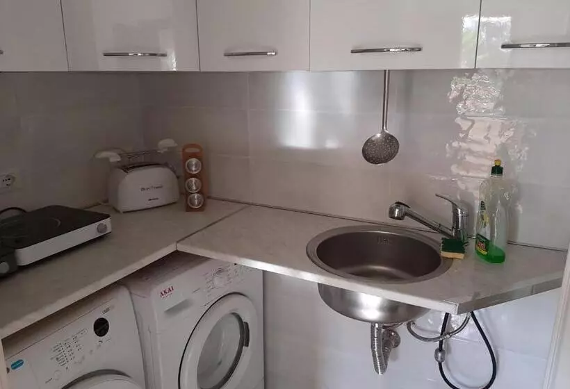 Bed and Breakfast Algherooms