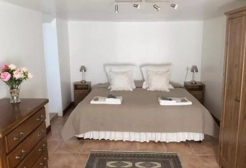 Aamiaismajoitus (B&B) La Cour Des Cloches