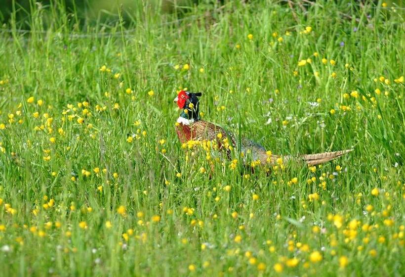 Bed & Breakfast Al Ponte