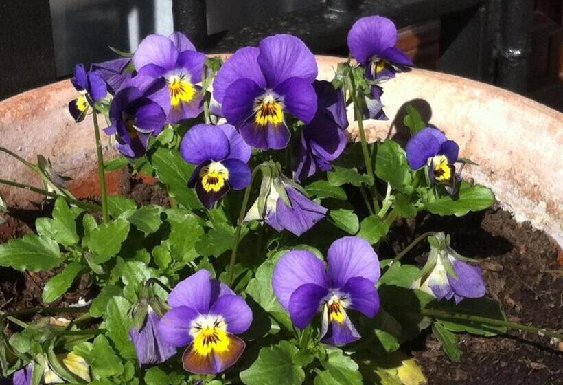 Bed & Breakfast Ca  Di Vissai