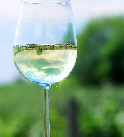 ホテル Eisenbock S Strasser Hof