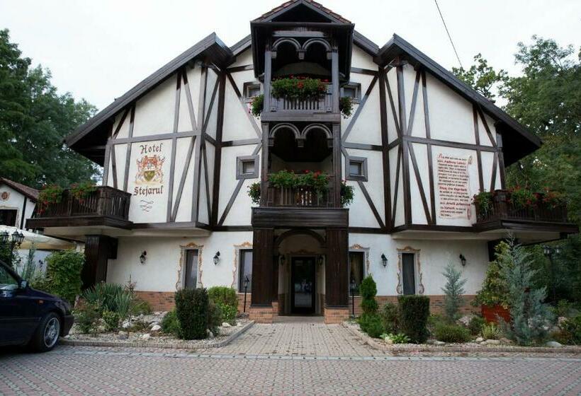 בית מלון כפרי Stejarul