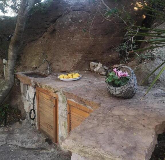 膳宿费 B&b Domus Oriens   Monolocale Indipendente In Villa