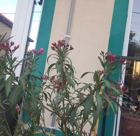 ペンション Green House 1