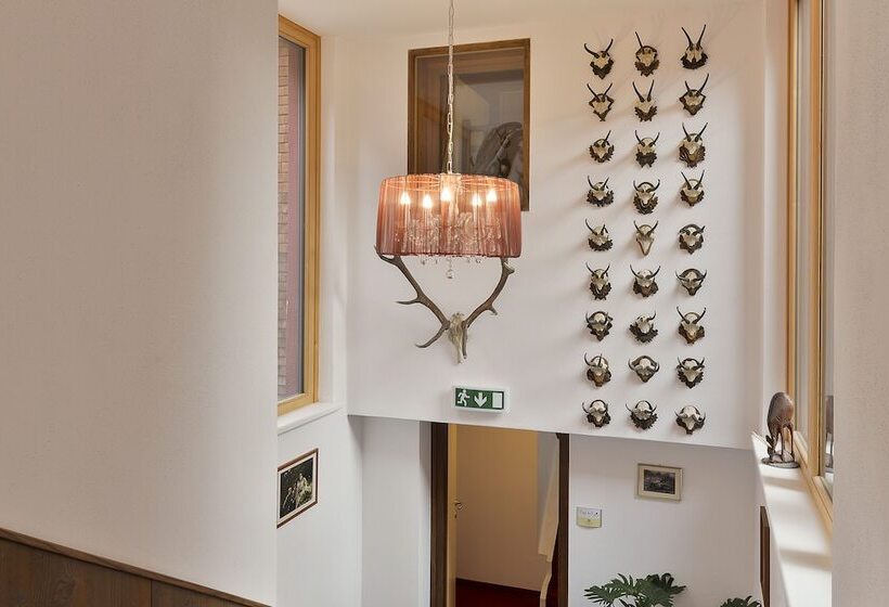 فندق Haus Anna Apartments