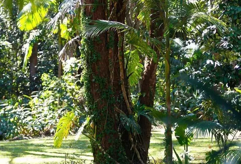 Hotelli Songbirds Rainforest Retreat