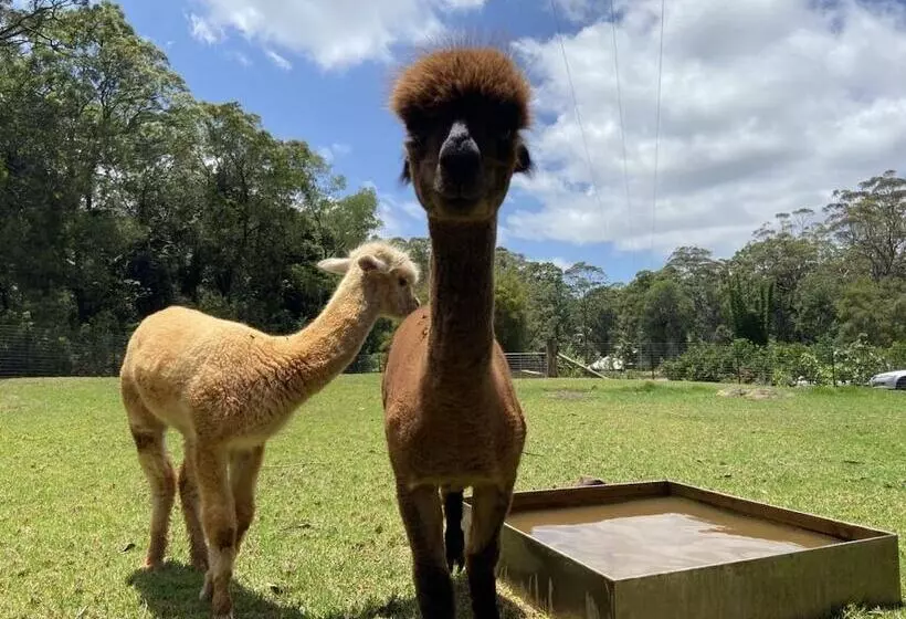 Hotelli Songbirds Rainforest Retreat