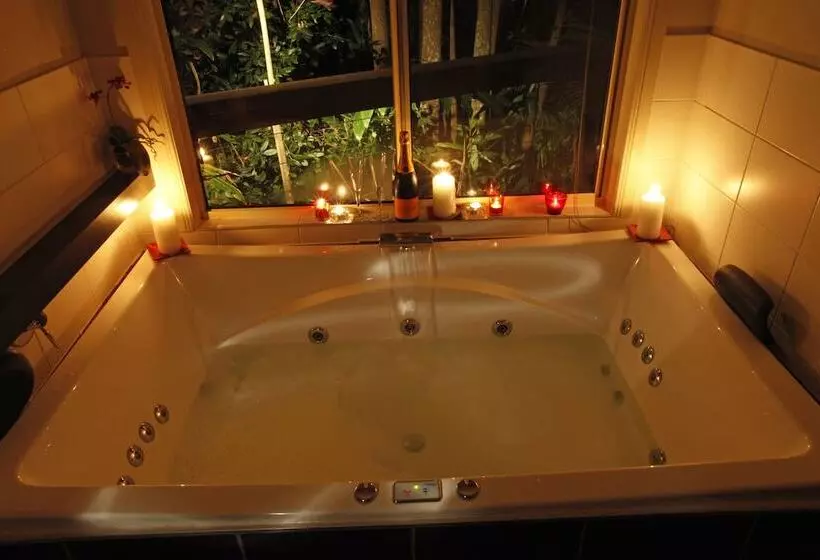 Hotelli Songbirds Rainforest Retreat