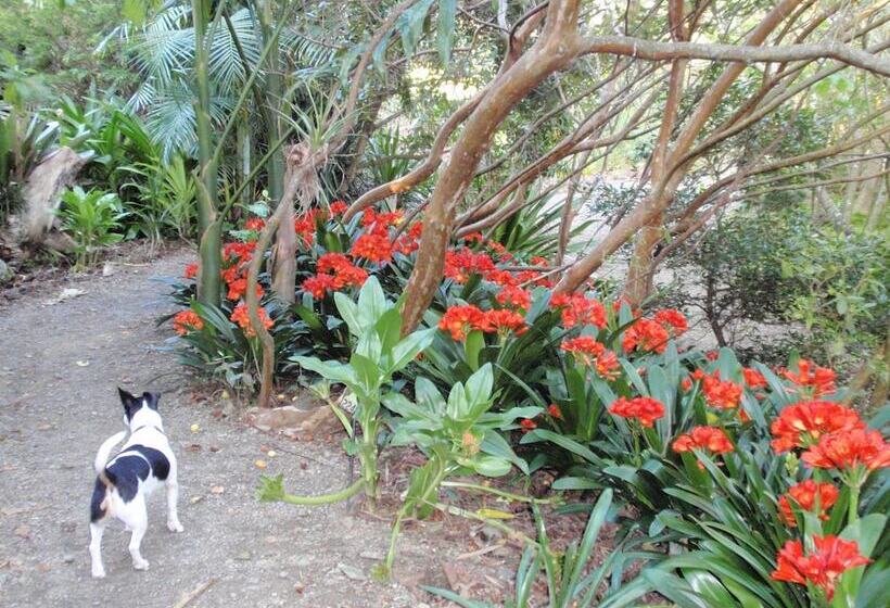 Wharepuke Subtropical Accommodation